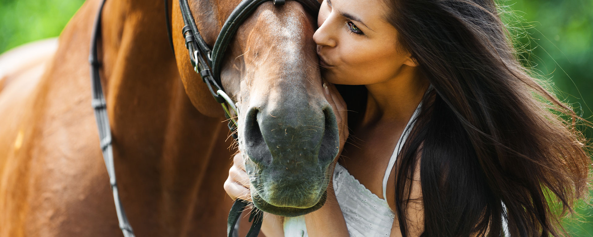 Cours d'équitation