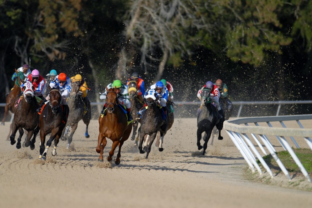 course-des-chevaux course-des-chevaux