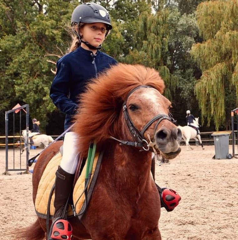 Falize Script Pension Chevaux à Démuin - Écuries de la Falize