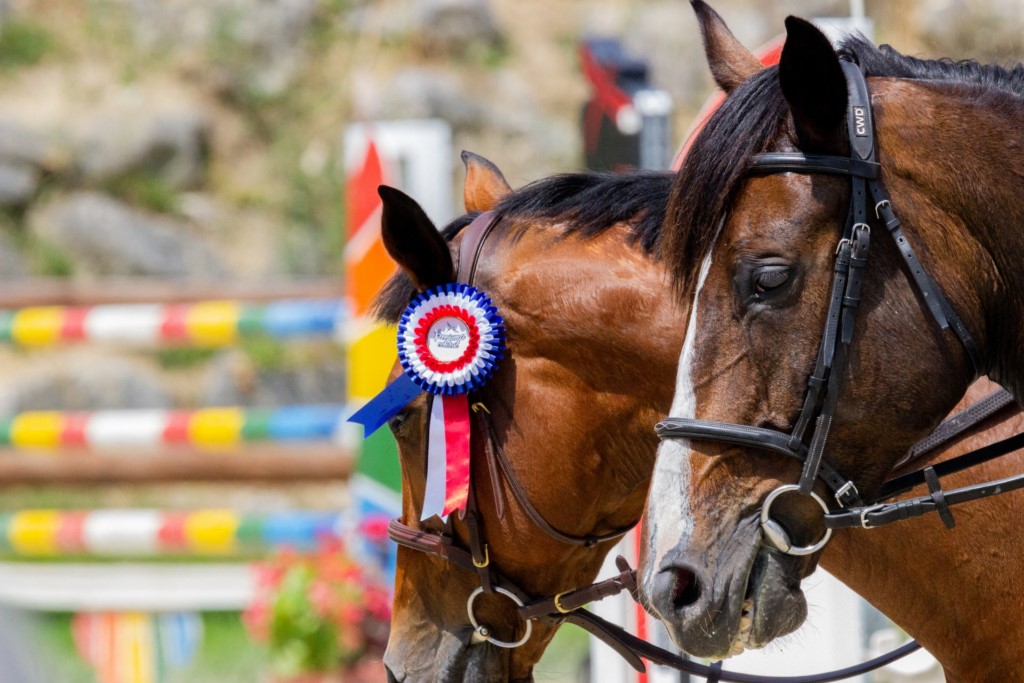 gagnants-course-chevaux gagnants-course-chevaux