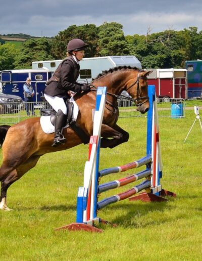 obstacle compétition cheval